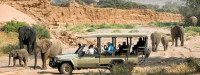 Business eVisa for Namibia