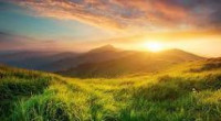 Nurture Environment Wellness