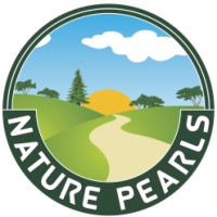 Bulk Organic Rice Supplier | Trusted Global Exporter