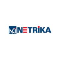 Netrika Consulting