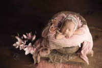 Amanda Mandola Photography: Houston Newborn Photographer