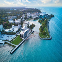What You Need to Know About Northwestern University | Ivy Central