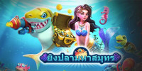 ocean explorerw88