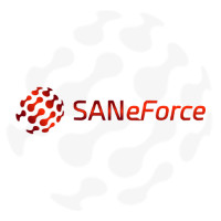 Transform Your Business with SANeForce’s Innovative Software Solutions