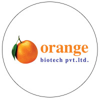 Pharma Franchise | Orange Biotech