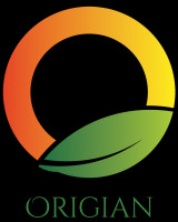 Origian Power