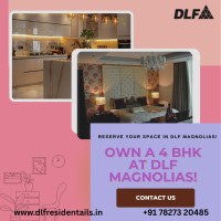 DLF Magnolias Investment Advisory