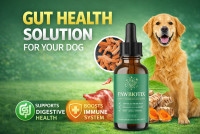 Pawbiotix – Daily Gut Health Solution for Happy Dogs