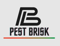 Pest Brisk - Pest Control Services in Gurgaon & Delhi NCR