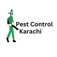 Best Termite control Services in Karachi with guaranteed