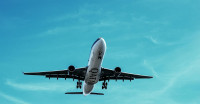 Airlines Ticket Agents
