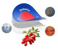 What Is Purisaki Berberine Patches & How It Supports Weight Loss ?