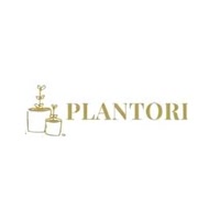 Buy Plants Online Delhi – Fresh, Affordable & Delivered by Plantori