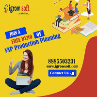 Best SAP PP Training Institute in Ameerpet | Igrowsoft
