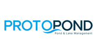 Proto Pond