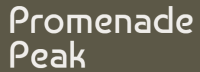 Promenade Peak Showflat