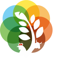 Prorich Agro – Leading Rice Protein & DDGS Supplier for Animal Feed