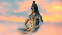Love vashikaran specialist baba ji+ 8053091227