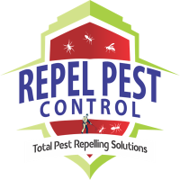 repeal pest control service in lahore