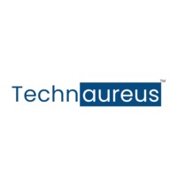 Techaureus info solution