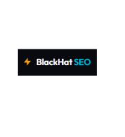 Black Hat SEO Expert In Delhi