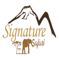 Signature Safari
