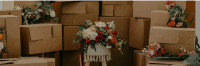 Movers and Packers in Belapur