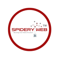 Spidery Web Agency - Digital Marketing Agency in Mumbai