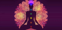 Astrologer Ram Tulasi in Plano & Frisco