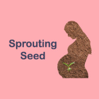 Sprouuting Seed Art bank