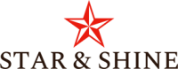 Star interlocking bricks