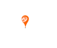 Bulk SMS Service Provider in Delhi