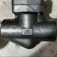 Steam Trap supplier in Dubai