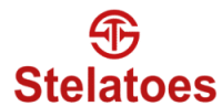 Stelatoes – India’s No.1 Brand for Indian Bridal Footwear, Men & Women Shoes