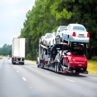 Trusted Cargo & Freight Forwarding Services in Dubai – ReefShipping