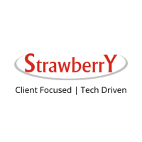 IT Consulting, Outsourcing, & Custom Software solution || Strawberry Infotech