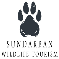 Sundarban Wildlife Tourism - Wildlife Photography Tours in India