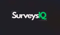 Online surveys