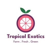 Buy Exotic Fruits & Vegetables Online – Fresh & Handpicked!