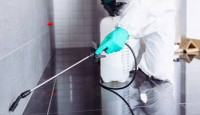 Termite Control Services in Coimbatore