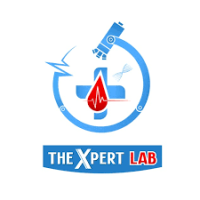 The Xpert Lab
