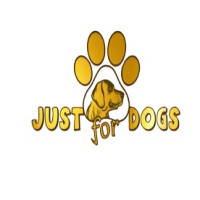 Looking for a reliable dog day care service in Noida?