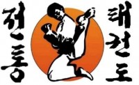 Martial Arts- Traditional Taekwondo Center of Brandon