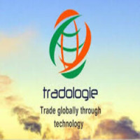 B2B Digital Trade Hub