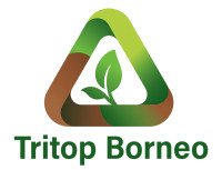 Trusted Kratom Exporter – Bulk Supply Tribeka