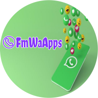 Fm Whatsapp Update