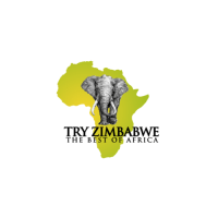 Luxury safari in Africa