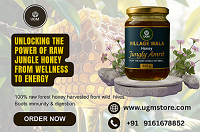 Village Wala Jungly Amrit Honey 500gm – Raw, Pure Jungle Honey