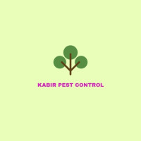 Affordable Pest Control in Sector 10 Taloja