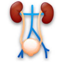 Dr. Varun's URO ONCOLOGY CLINIC - Uro Oncologist & Robotic Surgeon in Mumbai